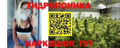 шишки Северобайкальск