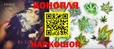 шишки Северобайкальск